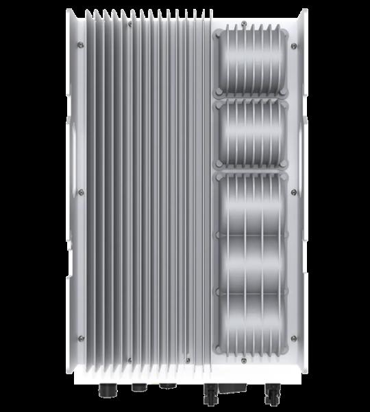 rear.webp